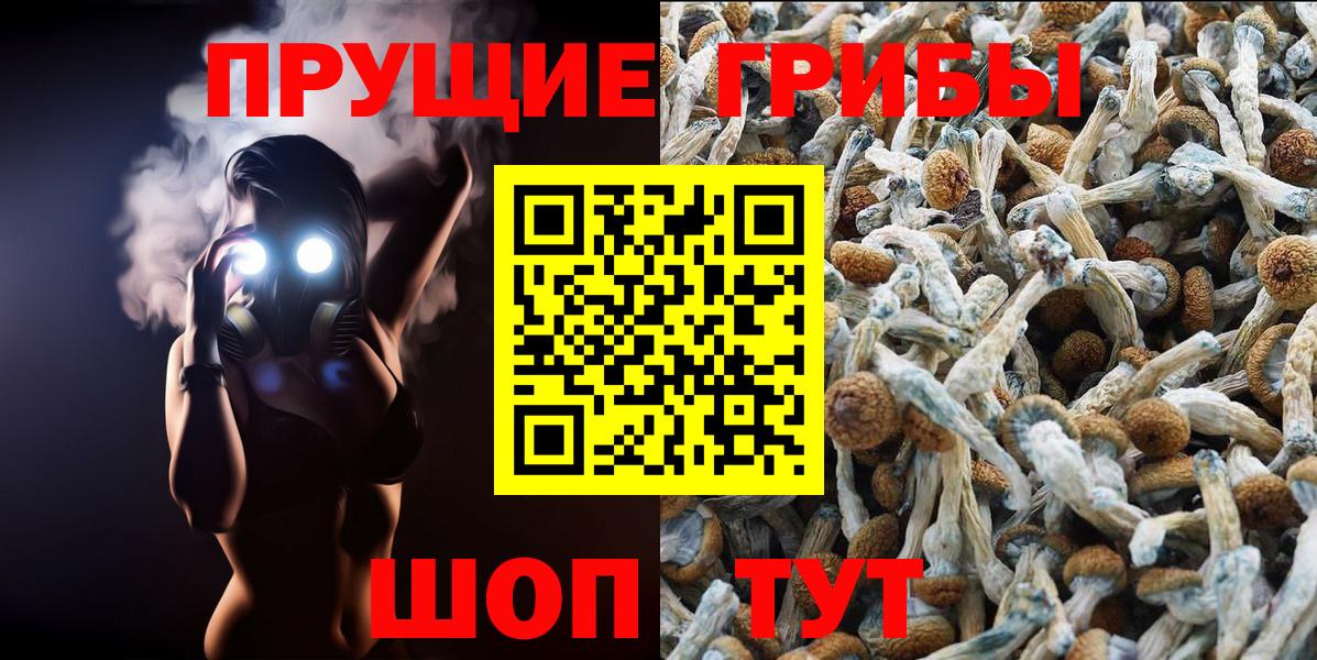 Псилоцибиновые грибы ЛСД Великие Луки