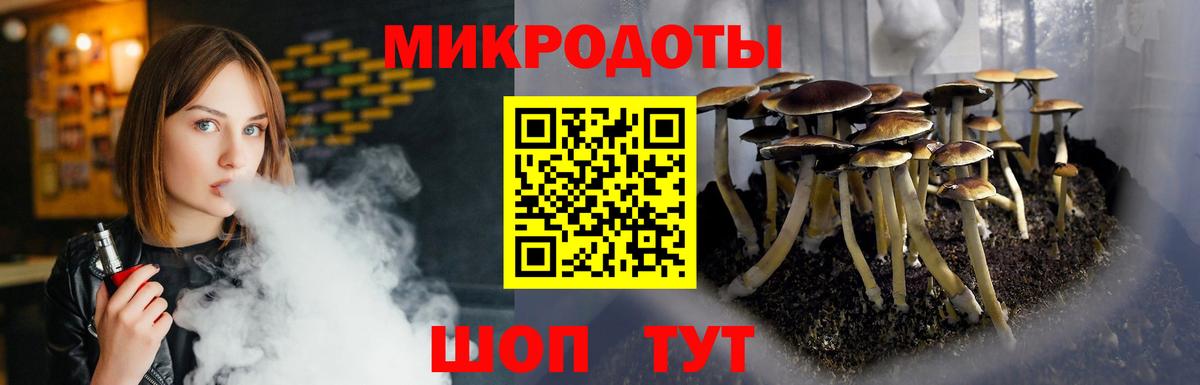 Великие Луки  Псилоцибиновые грибы мицелий  Вход с VPN 